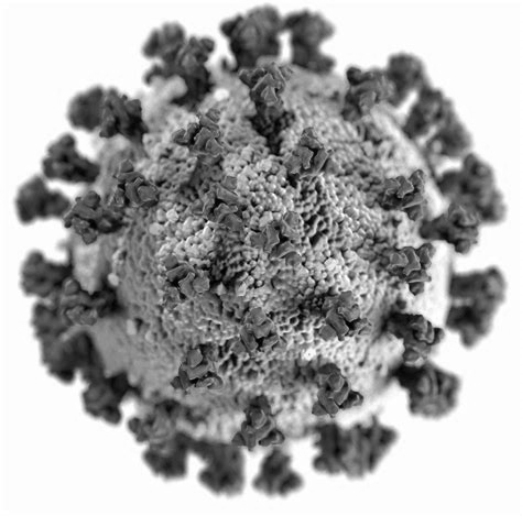 Image credit: [**Open Knowledge Foundation**](https://blog.okfn.org/2020/04/16/coronavirus-why-an-open-future-has-never-been-more-important/)